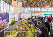 Auf der Veranstaltung vom 30. Januar bis zum 3. Februar 2024 haben Endverbraucher:innen die Möglichkeit, die Spielwarenmesse in Halle 7A des Nürnberger Messegeländes live mitzuerleben. (Bild: Spielwarenmesse eG / Foto: Christian Hartlmaier)